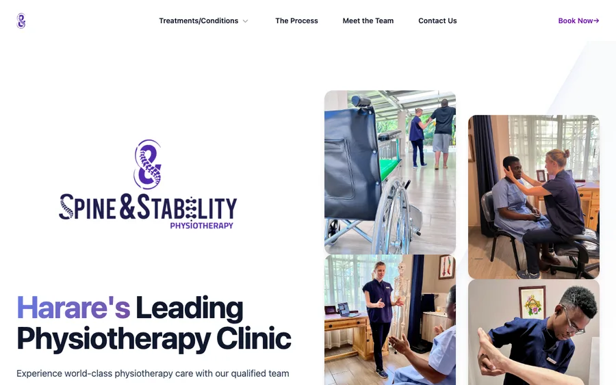 Spine & Stability Physiotherapy website